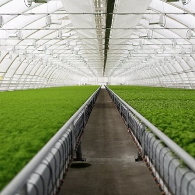 Grootvlei Climate Smart Horticulture Centre launched