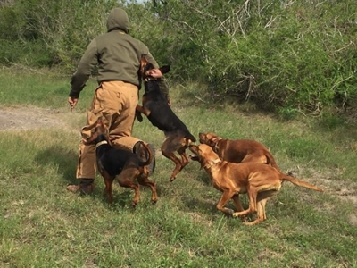 A poacher’s worst nightmare has just arrived in Limpopo
