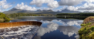 Bioblitz at Garden Route Dam on Saturday 4 December, but you can start NOW 