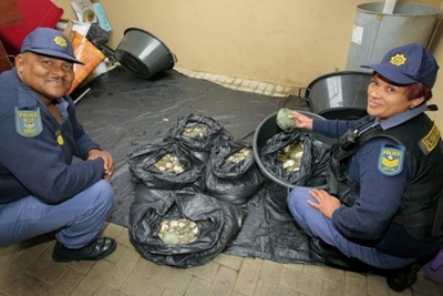 R1 million abalone bust