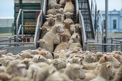 TLU SA helps farmers to protect export status
