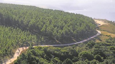 Cycling the sights from Plett to PE