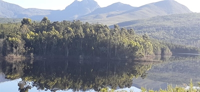 Garden Route Dam level update