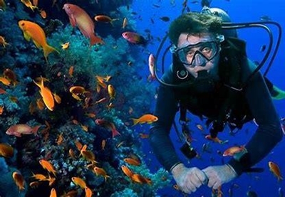 Learn more about scuba diving