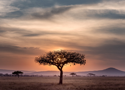 The rise of Sub-Saharan African countries in the global economy