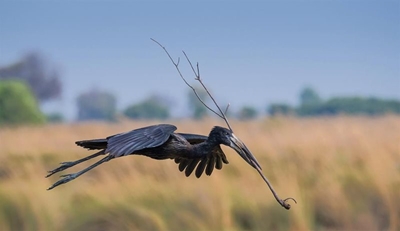 Camera club selects the best of January