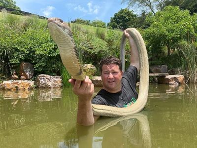 Snake bite claims legendary Dingo Dinkelman, SA’s own Steve Irwin