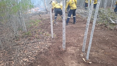 Garden Route District Wildfire Update 05: Aasvoëlberg, Albertinia