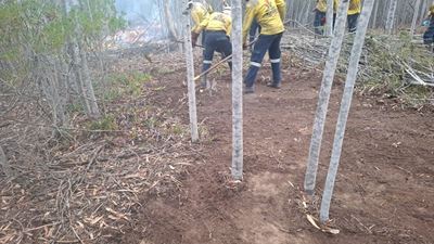 Garden Route District Wildfire Update 05: Aasvoëlberg, Albertinia