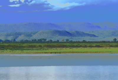 Rainfall may be 'too little too late'