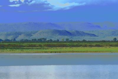 Rainfall may be 'too little too late'