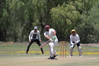 Club cricket top of the menu