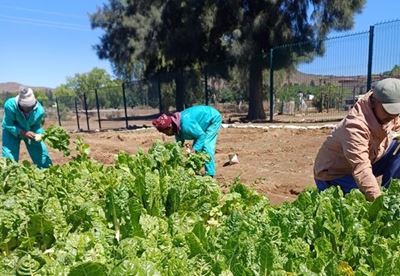 Community works for common good