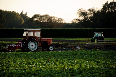 Committee will not tolerate violation of farmworkers’ rights during lockdown