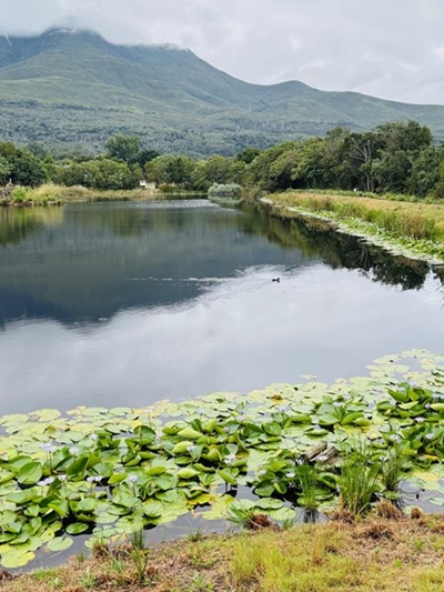International Biodiversity Day celebrated locally 