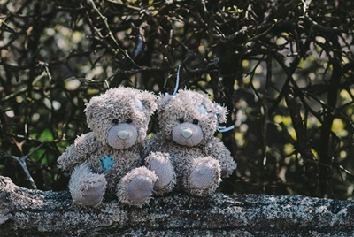 Skenk teddiebere vir slagoffers van aardbewings