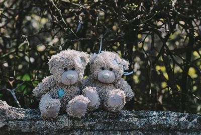 Skenk teddiebere vir slagoffers van aardbewings