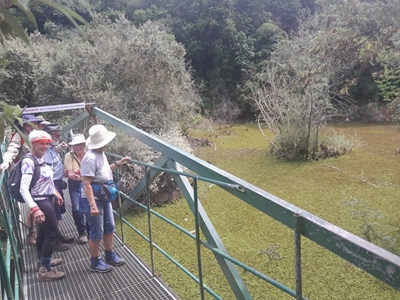 Kariba Weed in GR Dam fought with biocontrol