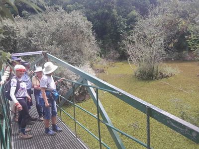 Kariba Weed in GR Dam fought with biocontrol