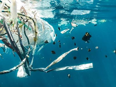 SA supports efforts to end plastic pollution