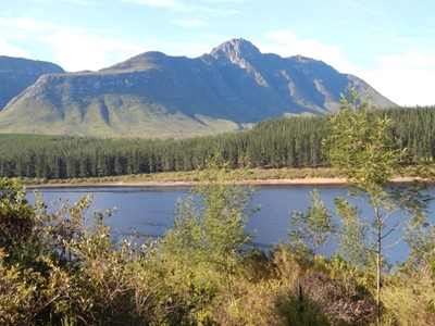 Damvlakke in Hessequa