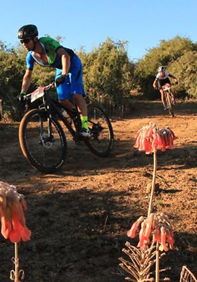 Driekuns vir De Villiers en Ungerer