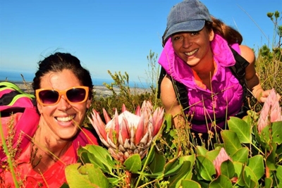 Register to operate a tourism activity at Outeniqua Reserve