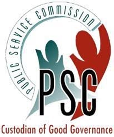 Crises an opportunity for SA to review its systems, says PSC