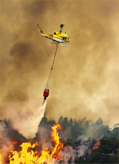 Remarkable story behind winning photo