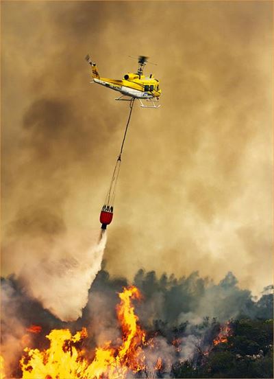 Remarkable story behind winning photo