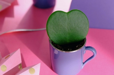 Need a unique Valentine's gift?