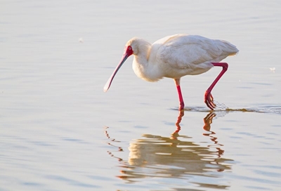 SANParks celebrates biodiversity