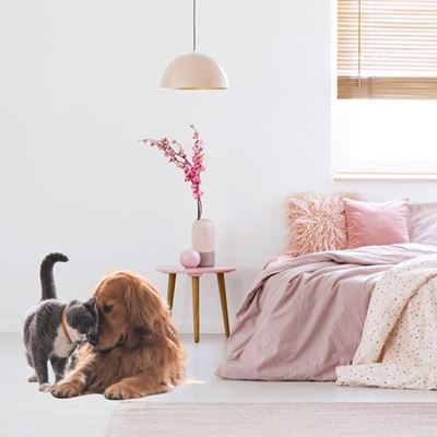 Trending bedroom updates