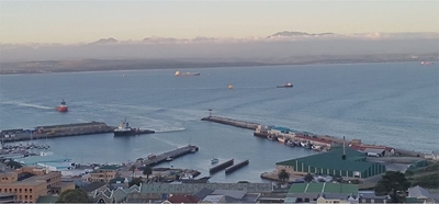 Port Festival to take place November