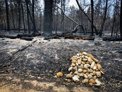 Monday afternoon: Garden Route fires update