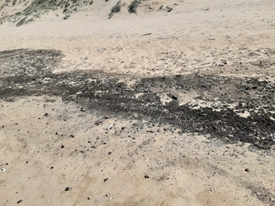 Black marks on beaches not oil