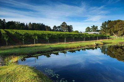Global approval for local wines