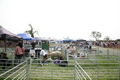 Eastern Cape revives agricultural shows to boost smallholder farmers market