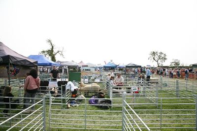 Eastern Cape revives agricultural shows to boost smallholder farmers market