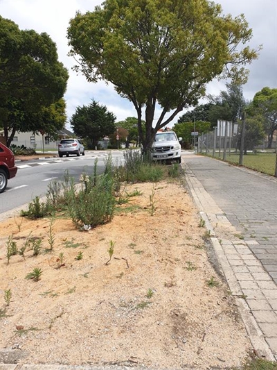 Residents call for 'operation clean-up'