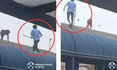 Raygun’s killers still at large despite R20K reward and public outrage