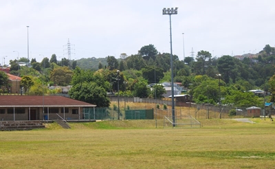 Closed sports field forces Hornlee festival cancellation