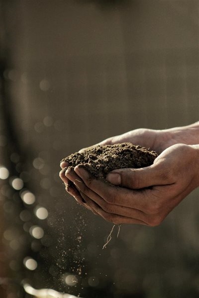 Hidden potential danger lurks in the soil