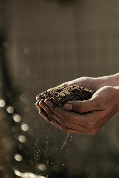 Hidden potential danger lurks in the soil