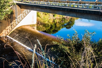 Garden Route Dam contractor withdraws tender