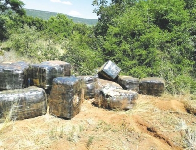 Passerby makes a multimillion rand discovery
