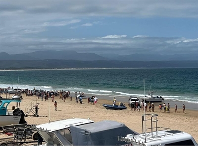  Two bitten by seal in Plettenberg Bay