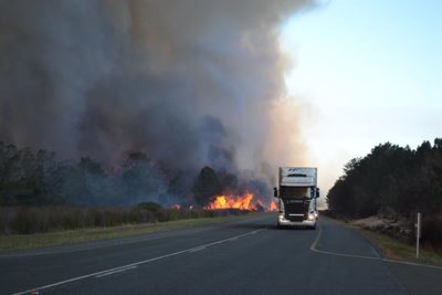 Brand verwoes 50 000 ha