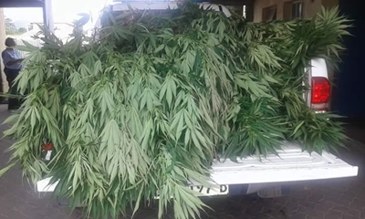 Police stoned as Rastas protect dagga