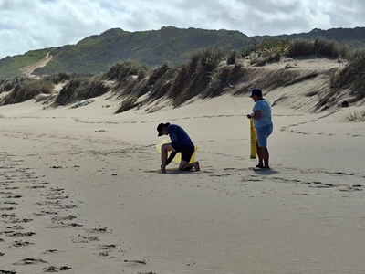 Over 70kg waste collected at beach clean-up